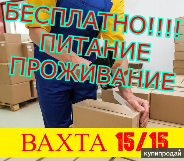 Вахта 15 смен питание проживание. Вахта 15/15. Вахта 15 смен. Вахта от 15 смен с проживанием и питанием. Упаковщик мобильной техники.