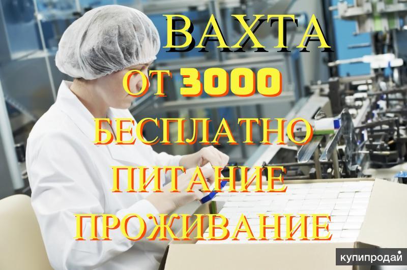 Вахта 15 15 москва электриком. Вахта 15 картинки. Упаковщик лекарств вакансии. Требуется фасовщица в Маяк. Вахта от 15 смен с проживанием и питанием.