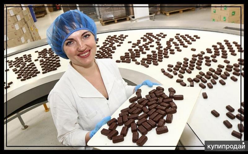 Работа на шоколадной фабрике. Шоколадная фабрика. Фабрика шоколада. Шоколадный завод. Фасовка конфет на шоколадной фабрике.