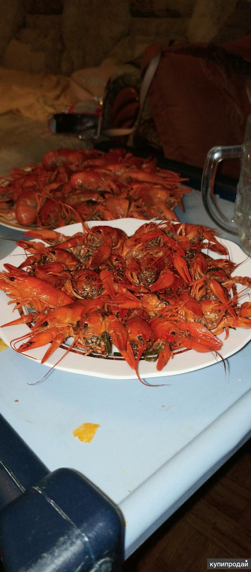 рачков батайск. маныч ростов на дону. Karaleva rakv. раки батайск. фото большого цимлянского леща вяленого.