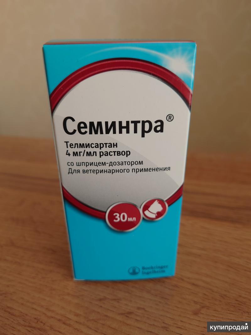 Семинтра купить для кошек