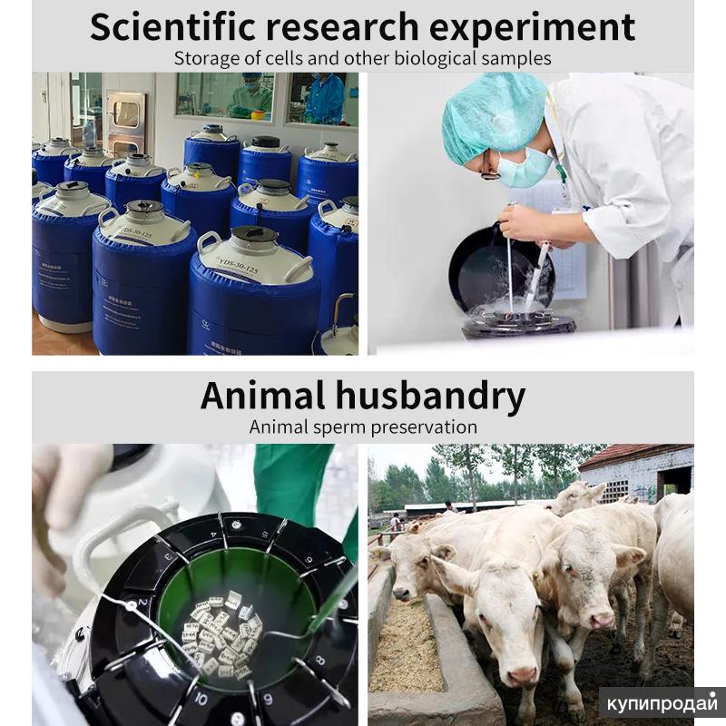 контейнер для хранения спермы KGSQ в Москве