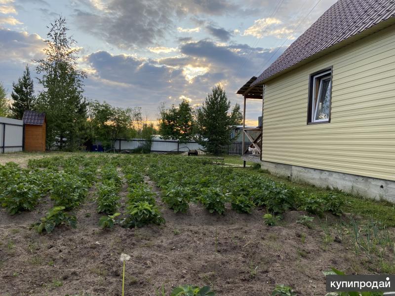 Нижневартовск Купить Дачу Недорого Без Посредников