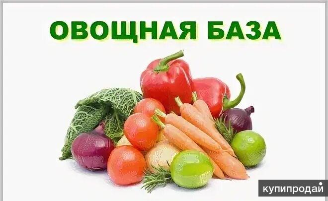 Ассортимент продукции фермерского рынка ЭкоБазар в городе Мытищи Foto 16