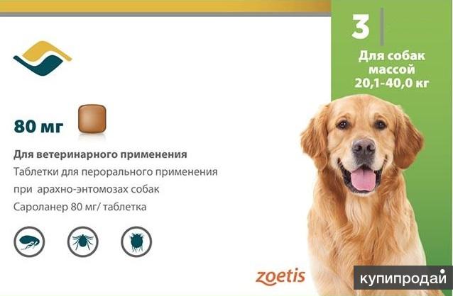 Обработка собак от блох и клещей Симпарика Керчь