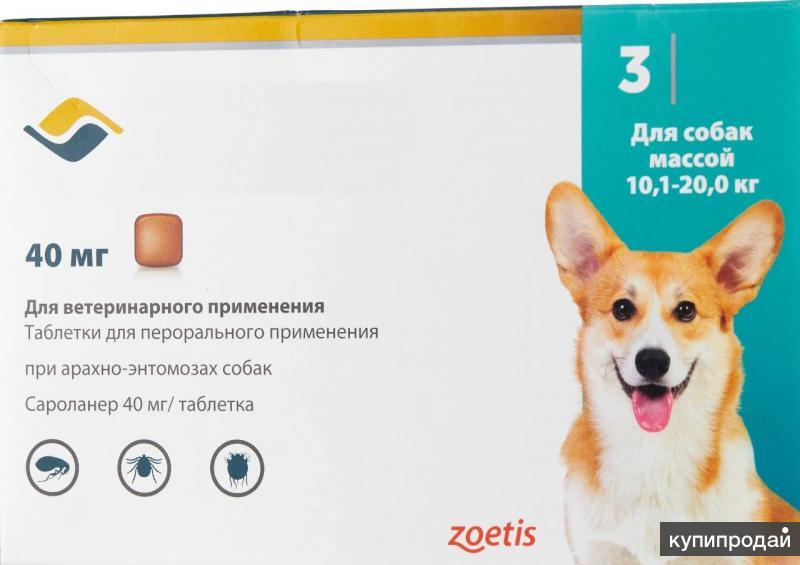 Обработка собак от блох и клещей Симпарика Керчь