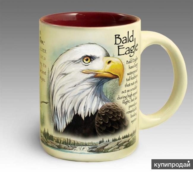 Кружка керамическая Bald Eagle(American Expedition)