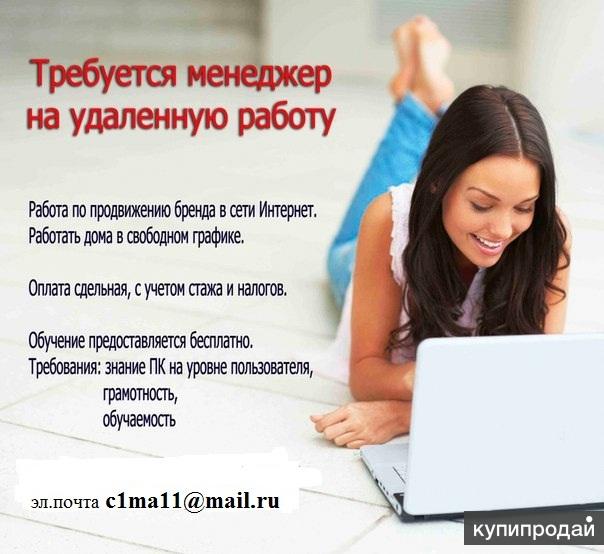 Менеджер проекта удаленно