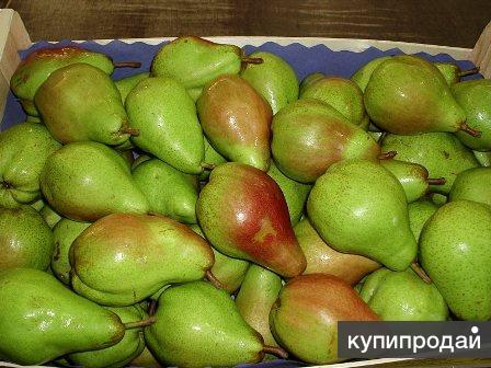 Груши из Испании