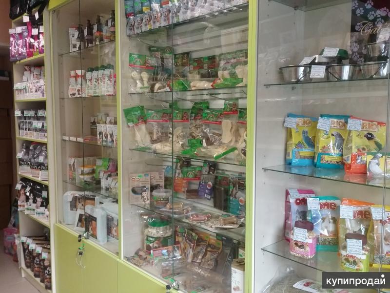 магазин животных. собака в магазине. в зоомагазине продают больших и маленьких. животные которых продают в зоомагазинах. недорогие зоомагазины поблизости.
