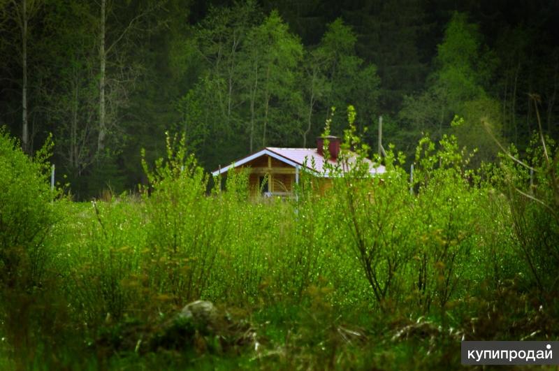 Участки спб. Лесколово Всеволожский район лес. Всеволожский район Ленинградской области пос Лехтуси. Лесколово природа. Лехтуси природа.