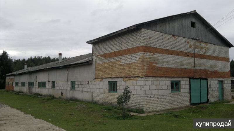 Квартиры В Визинге На Авито С Фото