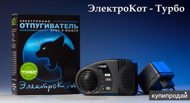 Электро кот