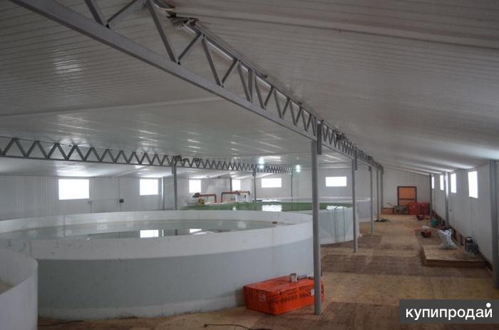 Проект на строительство акваферма для осетрина Проект на строительство акваферма для осетрина