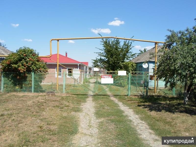 Погода в краснодарском крае хутор галицын. Хутор Ленинодар Краснодарский край.