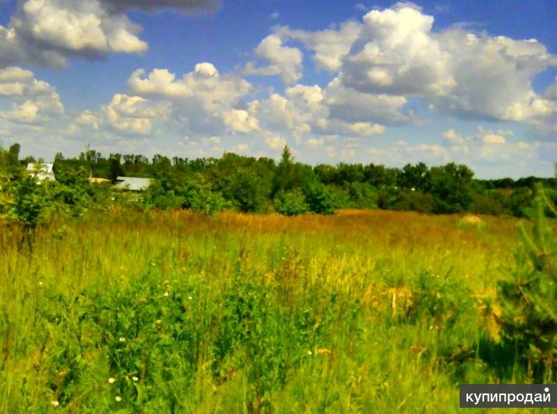 Участок нижегородская. Земельный участок в Нижнем Новгороде. Земля недорого Нижний Новгород. Купить земельный участок в Нижнем Новгороде. Земля в новинках Нижегородской области купить.