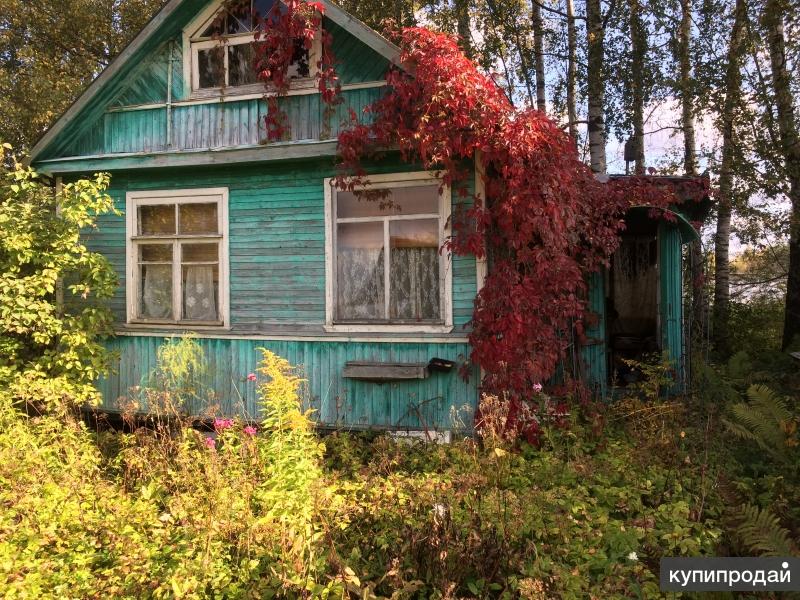 Дача спб недорого. Дача Санкт-Петербург. Дачи Петербурга. Дачные участки Санкт-Петербург. Район дачное Санкт-Петербург.