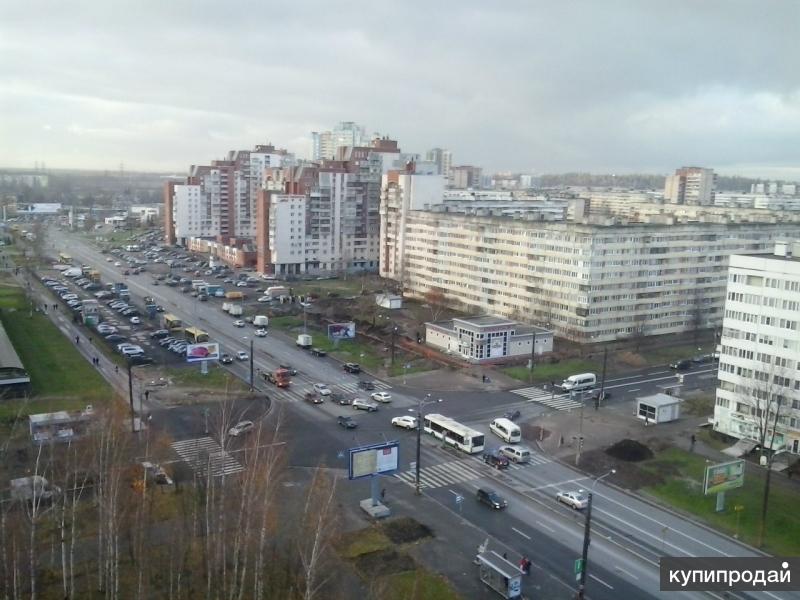 Улица проспект просвещения. Пр Просвещения 1979. Проспект Просвещения 1987 г. Просвещения 10.