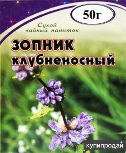 Зопник клубненосный, алтайский чай