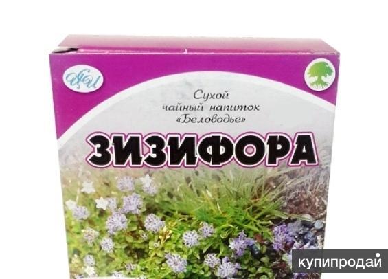 Зизифора пахучковидная, алтайский чай