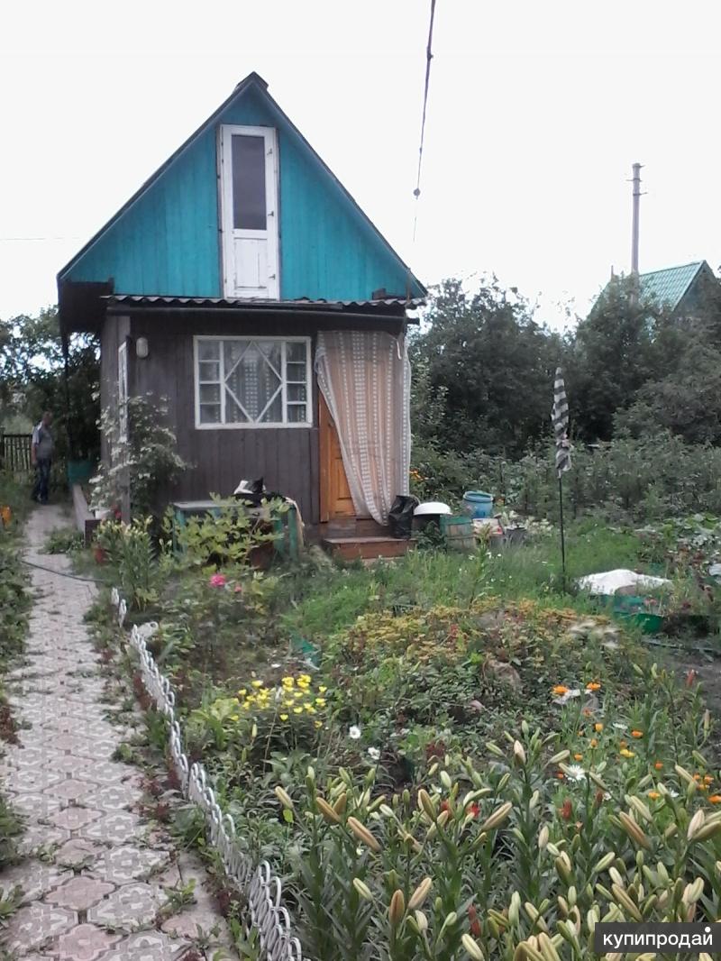 Солигорск дачи. Осташково Омск. СНТ сигнал Омск. Дачи в Осташково. Дачи в Омске.