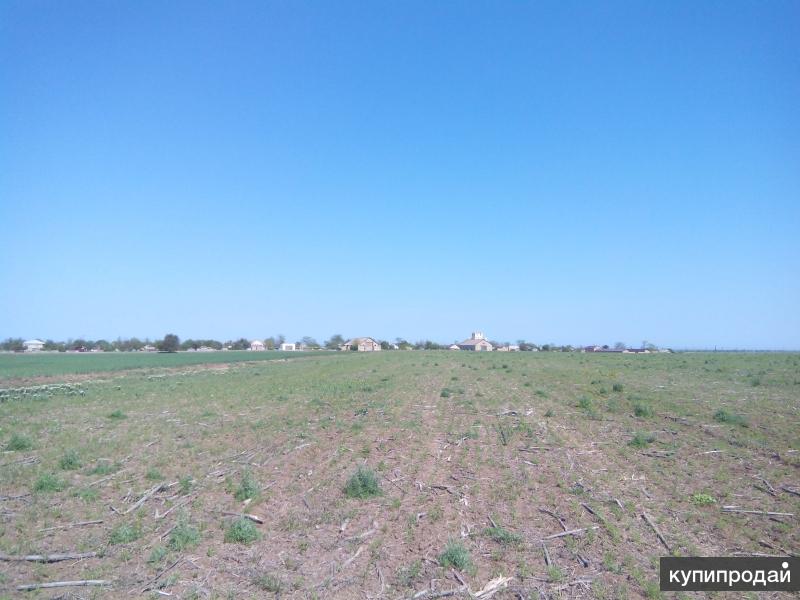 Купить Участок Первомайское Крым