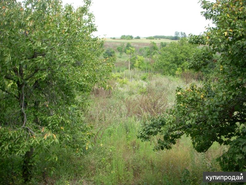 Купить Участок Во Владимирской Области На Этажи