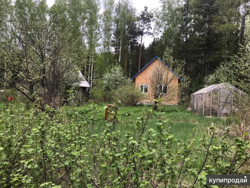 Купить Сад На Монзино Нижний Тагил