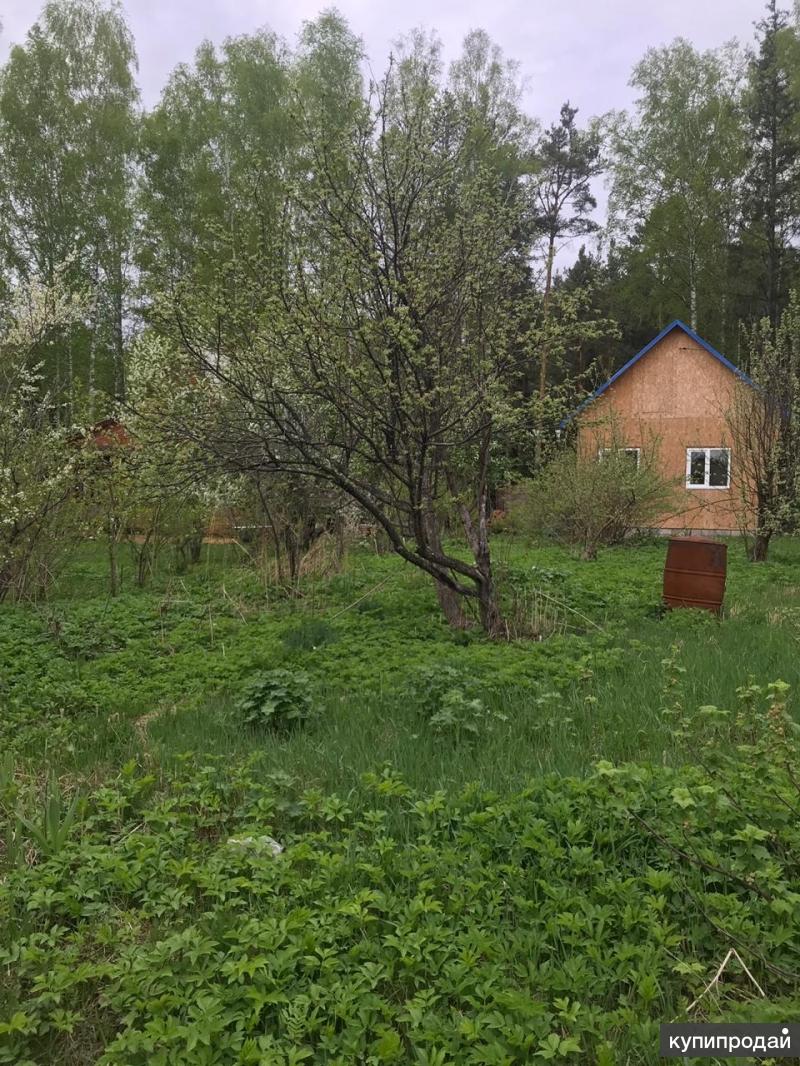 Купить Сад На Монзино Нижний Тагил