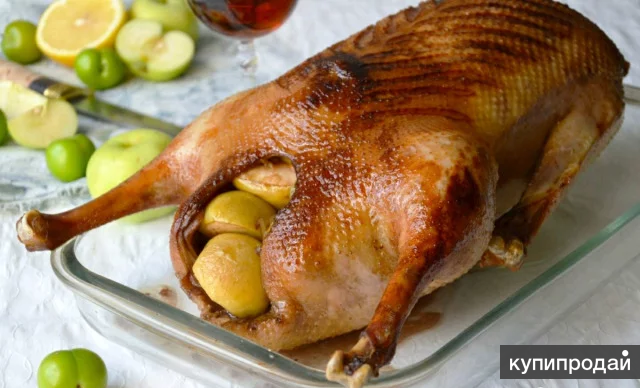 Мясо птицы Нижний Новгород