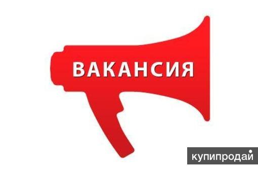 Рабочие на деревообрабатывающее производство