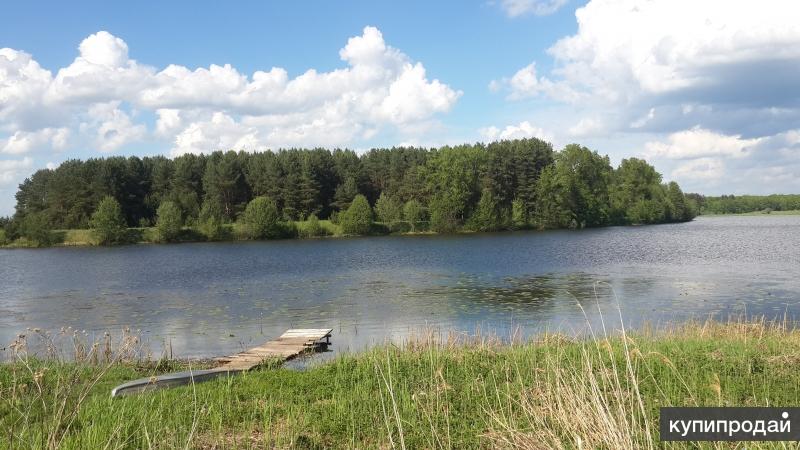 Озеро Тишино Деревня Ягодное Пильнинский Район Фотографии