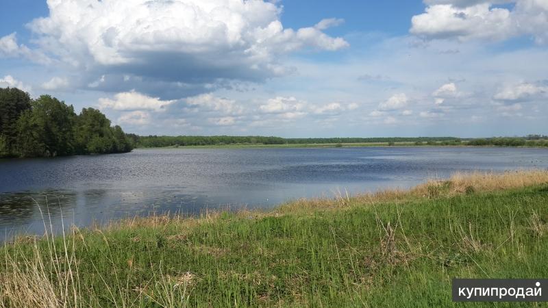 Озеро Тишино Деревня Ягодное Пильнинский Район Фотографии