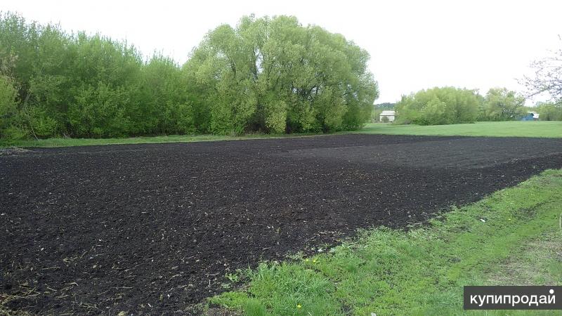 Погода терновка воронежская на месяц. Село Терновка Воронежская область. Терновка Воронежская область фото. Бочарниково Воронежская область.