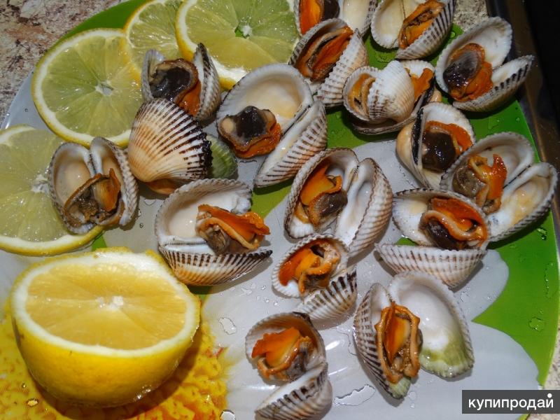 Скафарки Крымские Живые Дикие Крупные Эко Евпатория