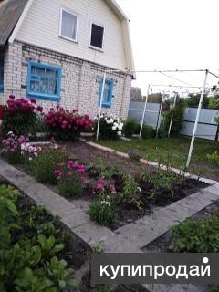 Купить Дачу Тополек Старый Оскол