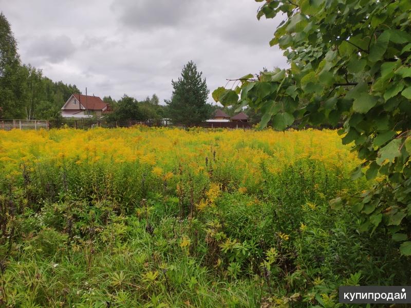 Земельные участки бор. Редькино Борский район Нижегородская область. Село Городищи Борского района Нижегородской области. Нижегородская область, г.о. Бор, с. Городищи. Деревня Воронино Нижегородская область Борский район.