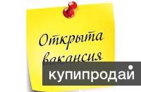 Работа для людей с ограниченными возможностями