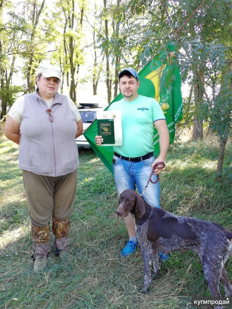 Собачий приют в ростове на дону фото собак