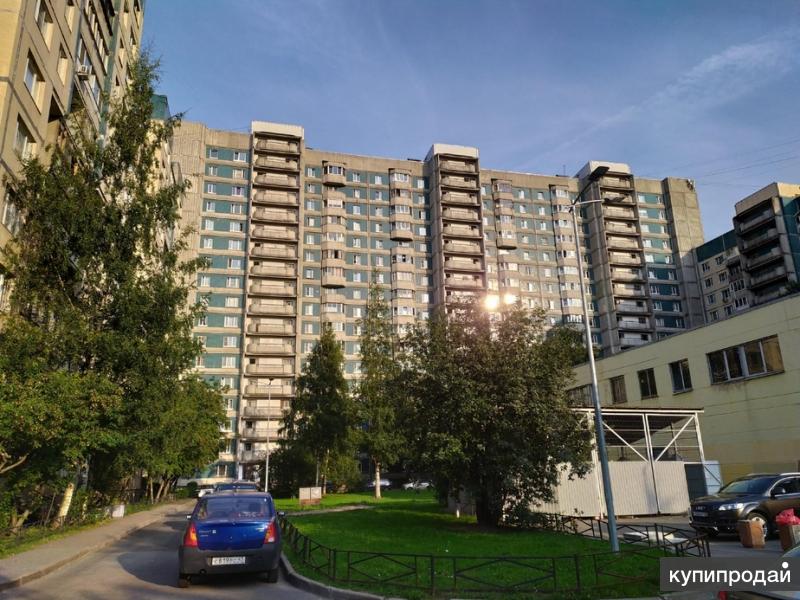 Шервуд просп испытателей 31 корп 1 фото