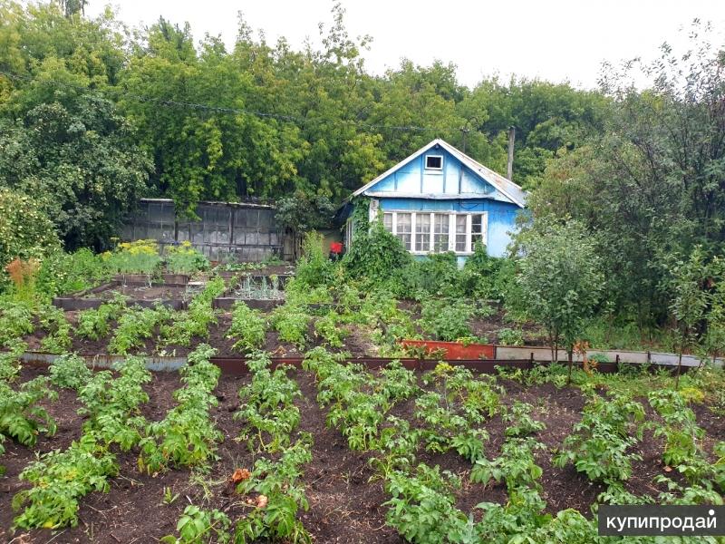Фото садовых участков в коллективных садах