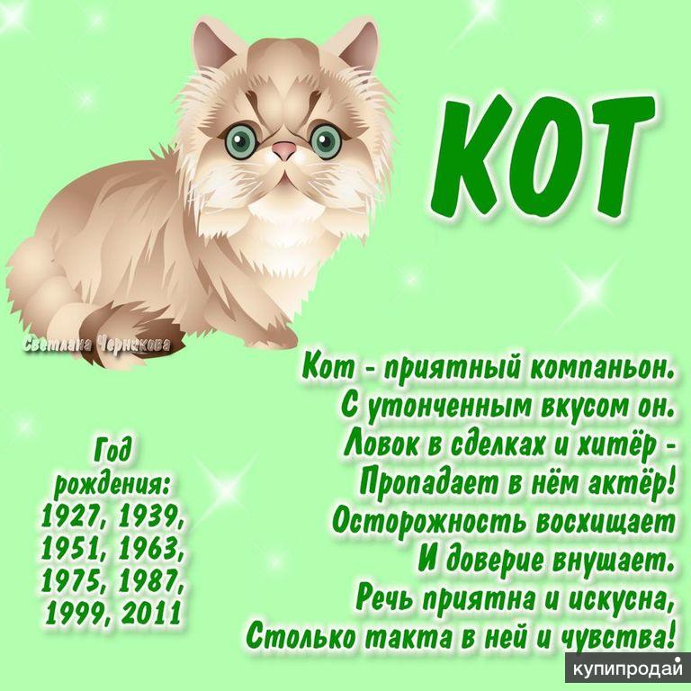 Год кроликамхарактеристика. Китайский год кролика. Год кролика. Год кролика гороскоп. Гороскоп на 2024 год кота кролика.