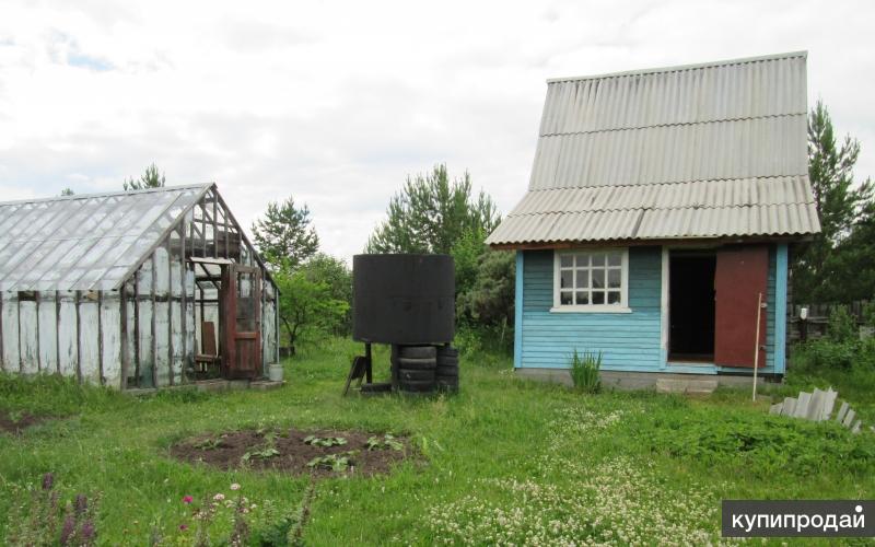 Купить Сад В Снежинске