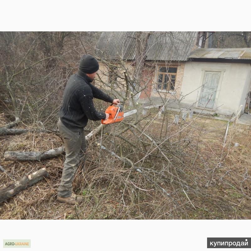 Очистка Участка От Деревьев И Кустарников Цена