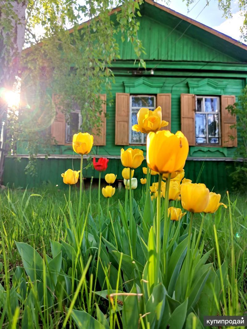 Дом в с.Андреевка в Курманаевке