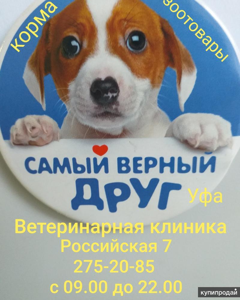 ветеринарная клиника в Уфе