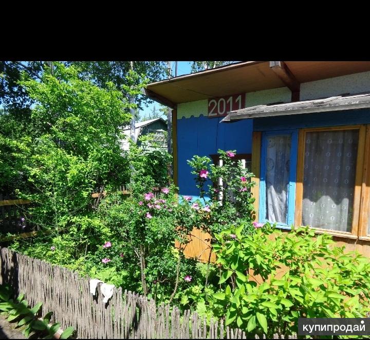 Продам Дачный Магазин