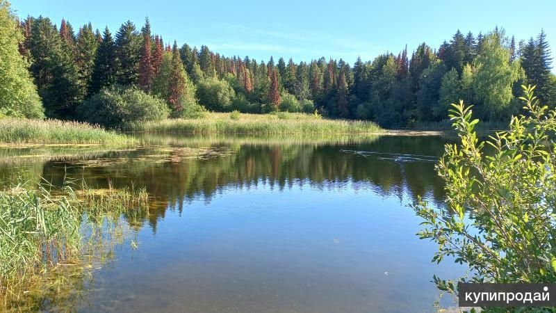 Фото на липовой горе ярославль