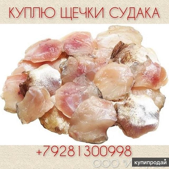 Что приготовить из щечки судака