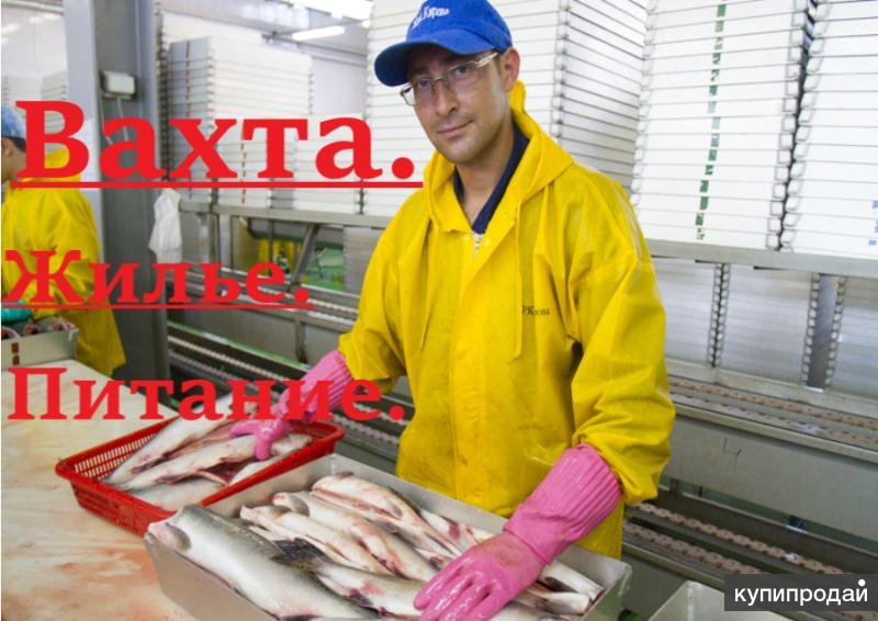 Октябрьский рыбный завод камчатка. Работ в г рыбное. Мурманск завод рыбоперерабатывающий завод. Рыбный завод. Рыбоперерабатывающий завод в охотске.